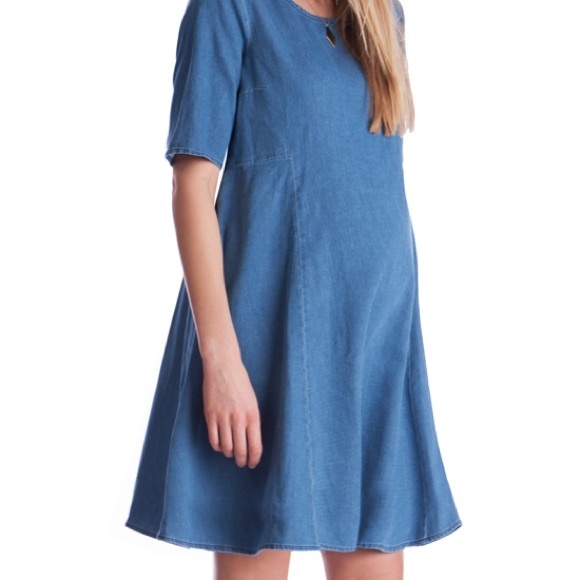 seraphine denim dress